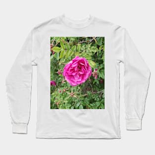 Deep pink roses on a shrub. Long Sleeve T-Shirt